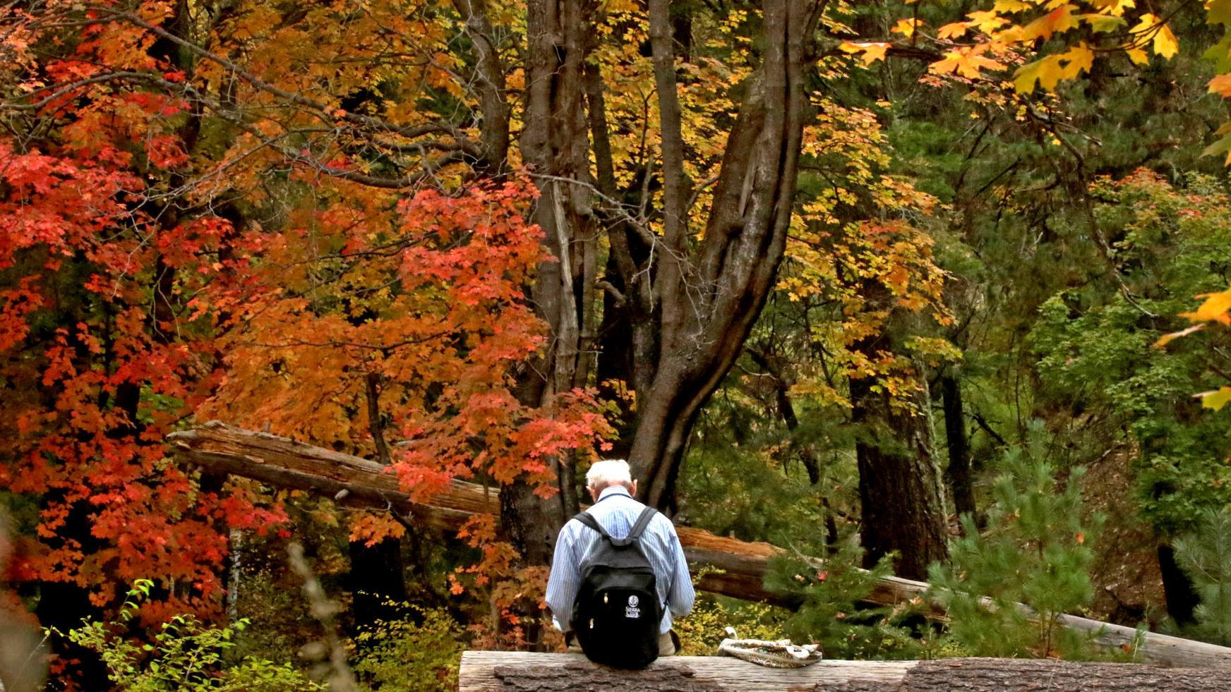Photos: Fall colors on Mt. Lemmon (2013)